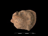 藏品(陶片)的圖片