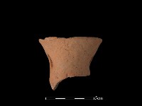 藏品(豆形器)的圖片