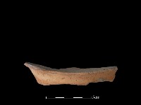 藏品(豆形器)的圖片