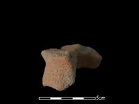 藏品(陶罐)的圖片