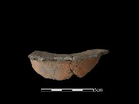 藏品(豆形器)的圖片