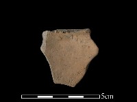 藏品(豆形器)的圖片