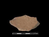 藏品(豆形器)的圖片