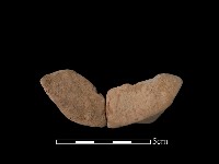 藏品(豆形器)的圖片