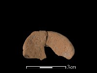 藏品(豆形器)的圖片