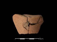 藏品(豆形器)的圖片