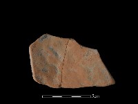 藏品(陶片)的圖片