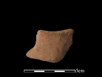 藏品(陶片)的圖片