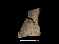 藏品(陶片)的圖片