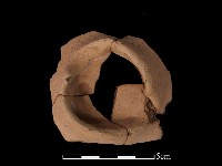 藏品(豆形器)的圖片