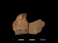 藏品(陶片)的圖片