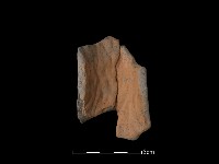 藏品(陶片)的圖片