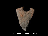 藏品(陶片)的圖片