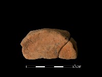 藏品(豆形器)的圖片