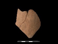 藏品(陶片)的圖片