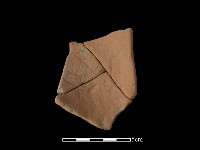 藏品(陶片)的圖片