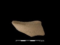 藏品(豆形器)的圖片