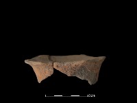 藏品(豆形器)的圖片