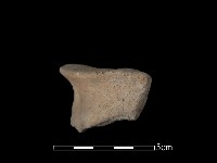 藏品(陶罐)的圖片