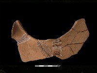 藏品(連杯形器)的圖片