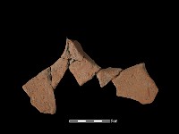 藏品(連杯形器)的圖片