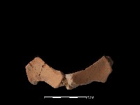 藏品(連杯形器)的圖片