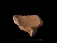 藏品(連杯形器)的圖片