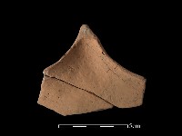 藏品(連杯形器)的圖片