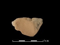 藏品(連杯形器)的圖片