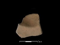 藏品(連杯形器)的圖片