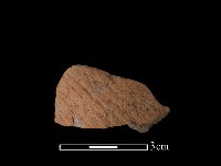 藏品(連杯形器)的圖片