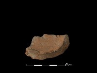 藏品(連杯形器)的圖片