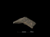 藏品(連杯形器)的圖片