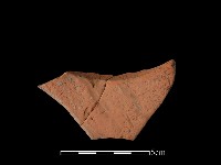 藏品(連杯形器)的圖片