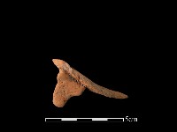 藏品(連杯形器)的圖片