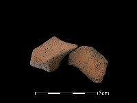 藏品(連杯形器)的圖片