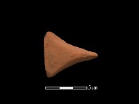 藏品(連杯形器)的圖片