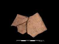 藏品(陶片)的圖片