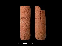 藏品(鼎足)的圖片