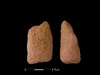 藏品(鼎足)的圖片