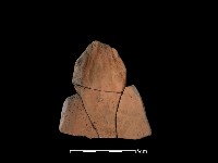 藏品(陶片)的圖片