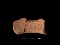 藏品(陶罐)的圖片