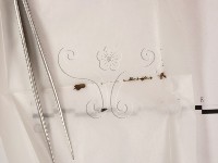 藏品()的圖片