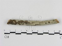 藏品()的圖片