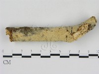 藏品()的圖片