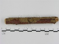 藏品(刺革菌屬)的圖片