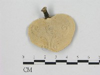 藏品(小孔菌屬)的圖片