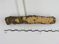 藏品()的圖片