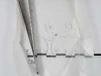 藏品()的圖片