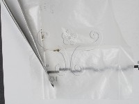 藏品()的圖片